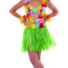 Costume Kids Hawaiian Fancy Dress